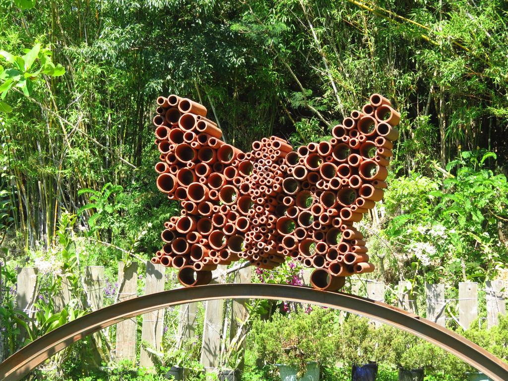 Butterfly B&B Manzhou Extérieur photo
